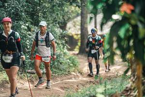 BIB: 
                            <button type="button" onclick="openModal(25276154)" class="btn btn-primary btn-sm float-right btn-popup" data-toggle="modal" data-target=".modal-high-quality">
                        <i class="fas fa-shopping-cart"></i> Add to Cart
                    </button>
                                            <button type="button" onclick="isThisMe(25276154, true)" class="btn btn-success btn-sm float-right btn-popup btn-isme hidden" data-toggle="tooltip" data-placement="bottom" title="นี่คือรูปของคุณใช่ไหม คลิกที่นี่เพื่อเอาเข้าอัลบั้ม">
                        <i class="fas fa-plus"></i> Add to album
                    </button>
                    <button type="button" onclick="isThisMe(25276154, false)" class="btn btn-warning btn-sm float-right btn-popup btn-isnotme hidden">
                        <i class="fas fa-ban"></i> Remove from album
                    </button>